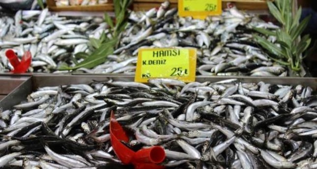 Warmer Black Sea deals blow to fishermen