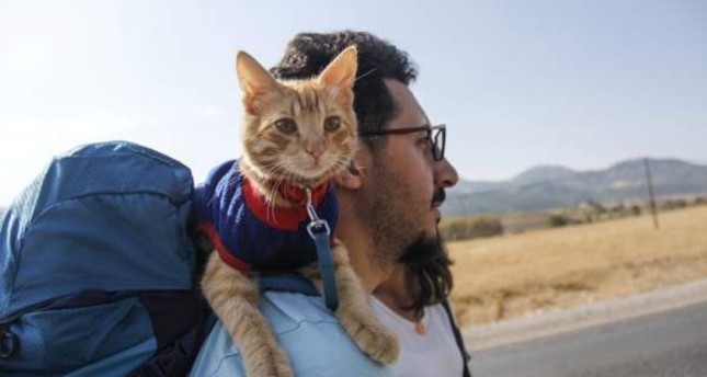 Cat accompanies traveling couple in the cutest way