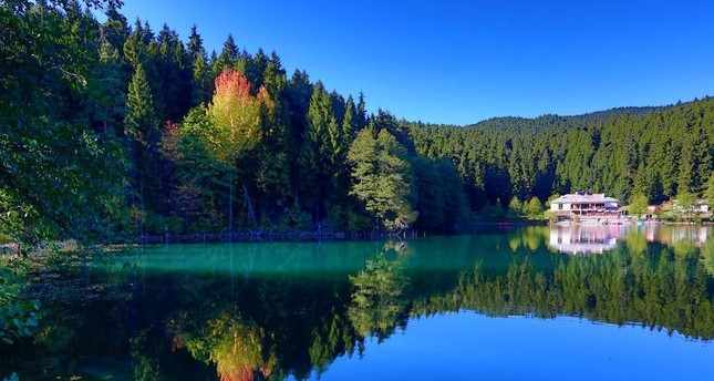 Bring autumn to your Instagram with photos from Artvin