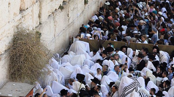 Jewish settlers storm Al-Aqsa to observe Sukkot