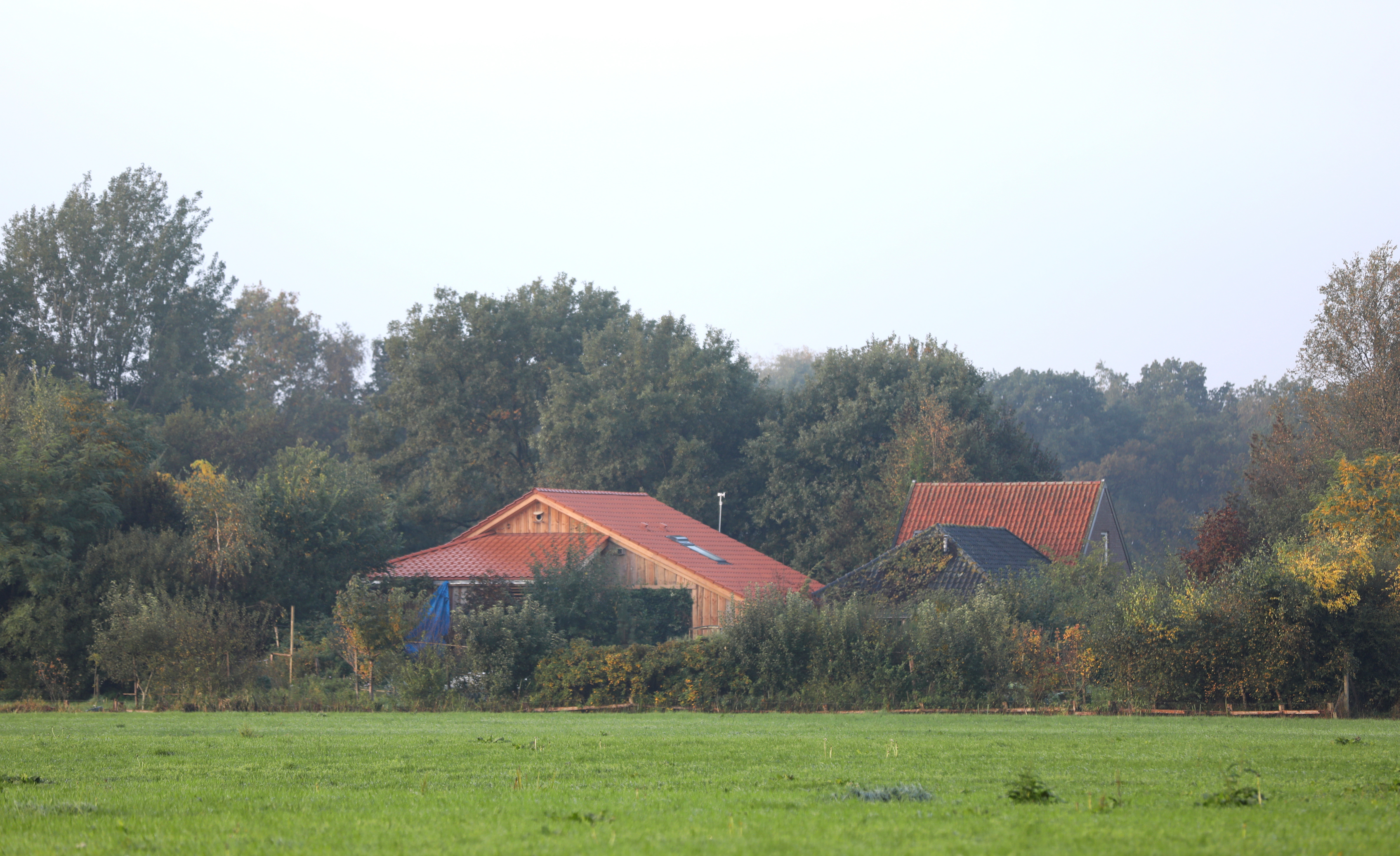 Dutch police question man over farmhouse where isolated family found