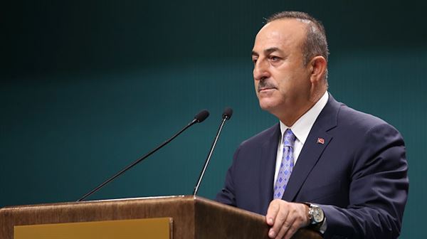 Pause of Turkey's op in Syria not ceasefire: Turkish FM
