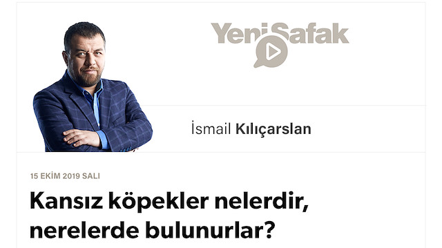 Kansız köpekler nelerdir, nerelerde bulunurlar?