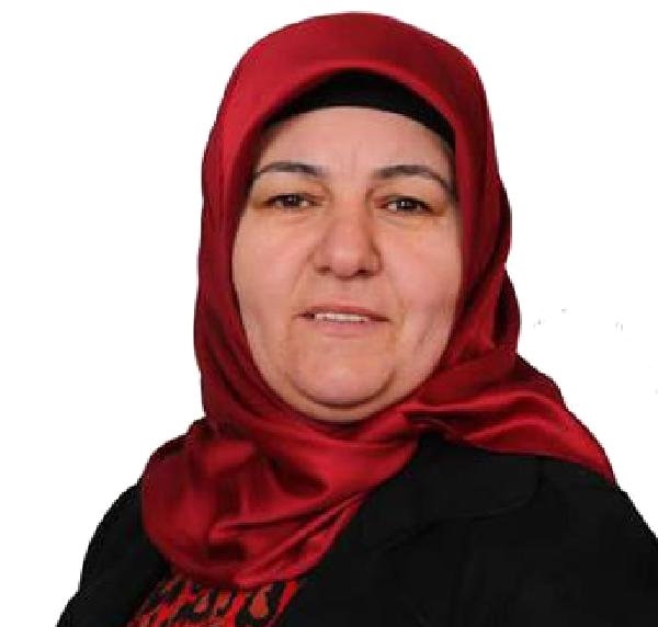 HDP'li Erciş Belediyesi'ne Kaymakam Mehmetbeyoğlu görevlendirildi