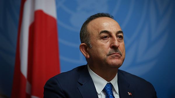 US voted against Turkey to take revenge over Syria: FM