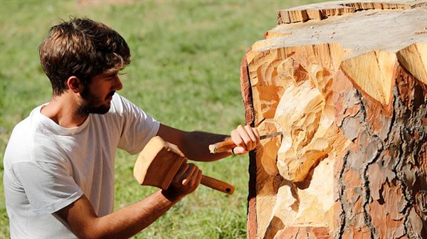 Sculptor transforms Rome's dead trees into art