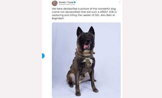 ترامب ينشر صورة 'مركّبة' تظهره يُكرّم كلبًا شارك بعملية البغدادي