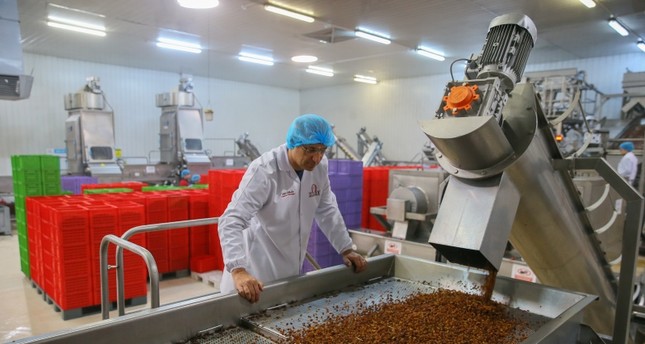 Turkish, Chinese firms ink raisin export deal worth $3M