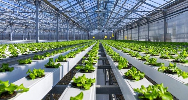 TL 2.4 million investment in pesticide-free smart agriculture