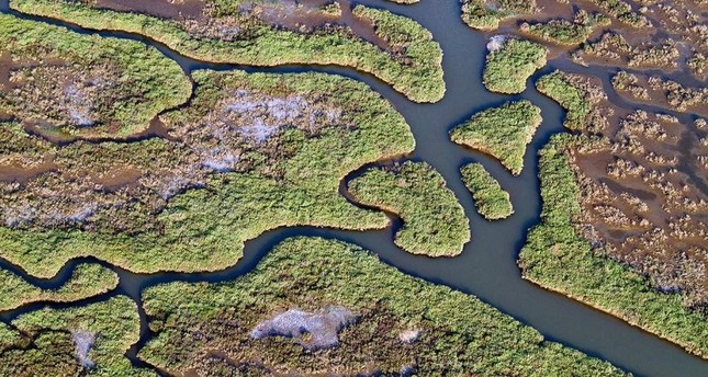 Gediz Delta to become UNESCO World Heritage site