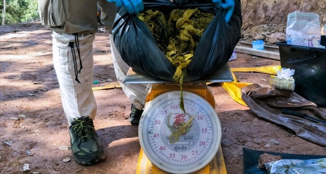 Dead deer found in Thailand with 7 kilos of plastic waste in stomach
