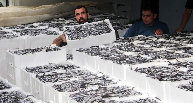 New Turkish law to push eco-friendly, sustainable fishing