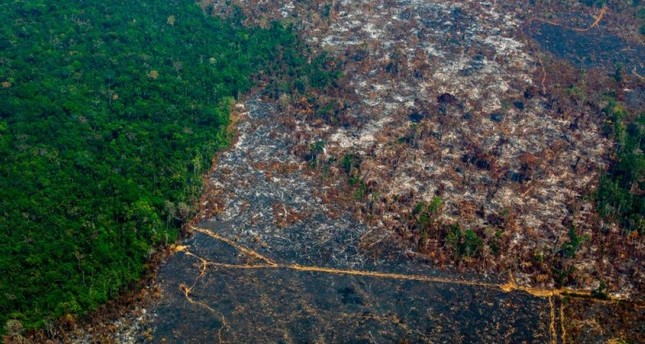 Amazon deforestation at worst since 2008, Brazil says