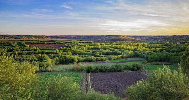 8,000-year-old Hevsel Gardens new ground for photographers