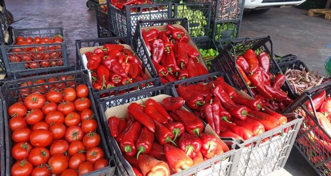 Turkey's fruit, vegetable exports reach $1.6B in 10 months