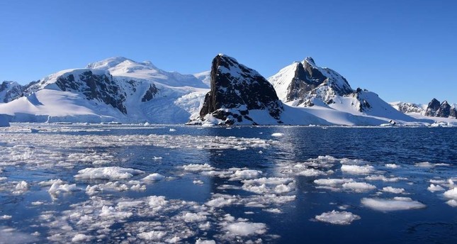Invasive species set to exploit climate change in Antarctica