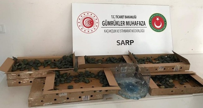 3,400 terrapin turtles in pizza boxes seized at Turkish border