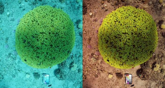 Turkish scientist's algorithm may revolutionize underwater photography