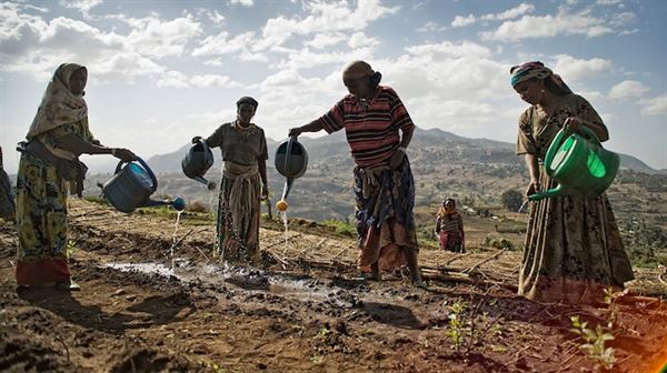 UN wants action on climate change in nine African nations