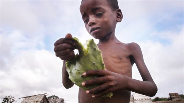 Climate crisis forces 52M Africans to face hunger