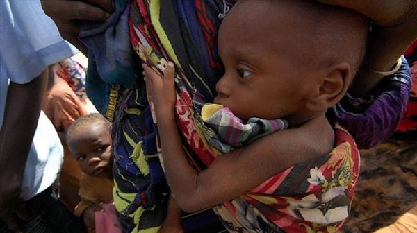 2.4M people food insecure in Africa's Sahel region: UN