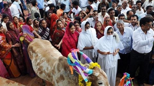 بتهمة تهريب أبقارهم…مقتل شخصين حرقاً على يد مجموعة من الهندوس