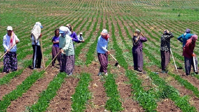 Düşük maaşta işçiye mesaj patrona ise mektup yollanacak​