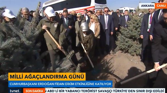 'En fazla fidan dikme rekoru' belgesi Cumhurbaşkanı Erdoğan'a takdim…