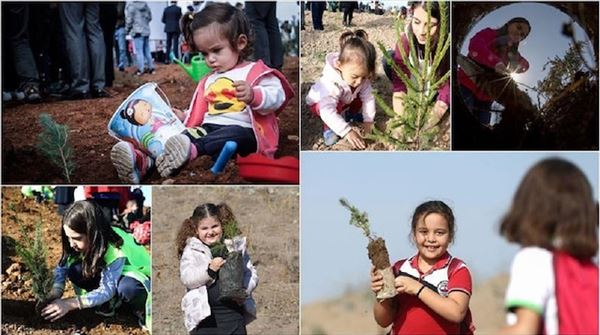 Over 13M saplings planted in Turkey’s eco-friendly move