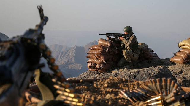 Van'da PKK'ya bir darbe daha: Biri turuncu diğeri gri listede