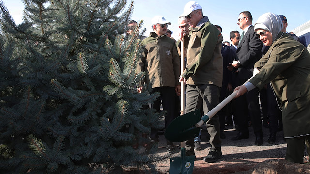 Cumhurbaşkanı Erdoğan '11 Milyon Ağaç; Bugün Fidan, Yarın Nefes' kampanyası kapsamında ağaç dikti