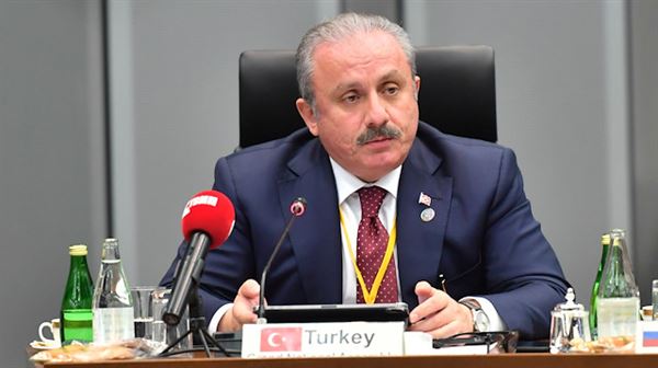 World seeking new int'l platforms, says Turkish speaker