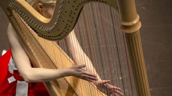 Istanbul to host first international harp festival