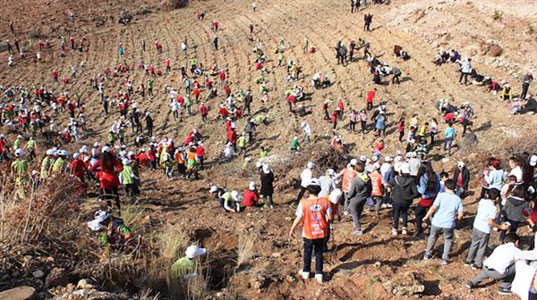 Turkey breaks world record of most sapling planted in 1 hour