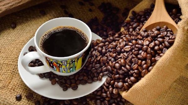 Ethiopian coffee attracts visitors at Ankara expo