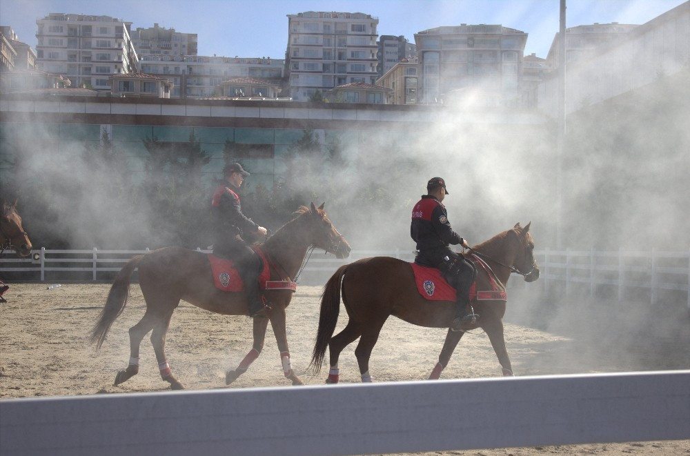 İstanbul'da atlı polislerin nefes kesen eğitimi