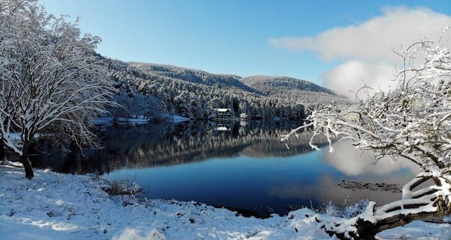 With snow falling, it's time to see nature in its best look