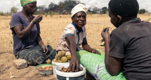 Food aid expanded in Zimbabwe after hunger crisis