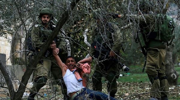 Israel detains 11 Palestinians in West Bank raids