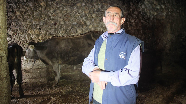 Jandarmadan başıboş gezen ineğe trafik cezası kesilmesine açıklama