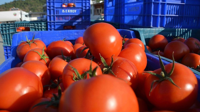 Kasım ayının zam şampiyonu domates, fiyatı en fazla düşen ürün ise portakal