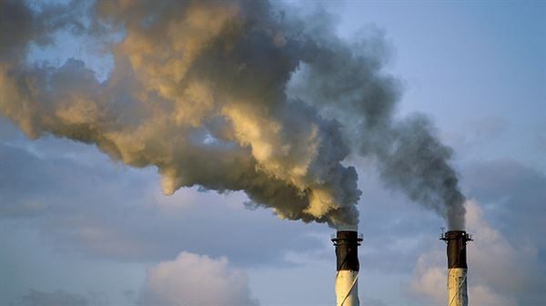 Carbon markets threaten people, planet: NGO
