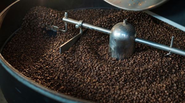 Ford to use coffee bean waste to produce auto parts