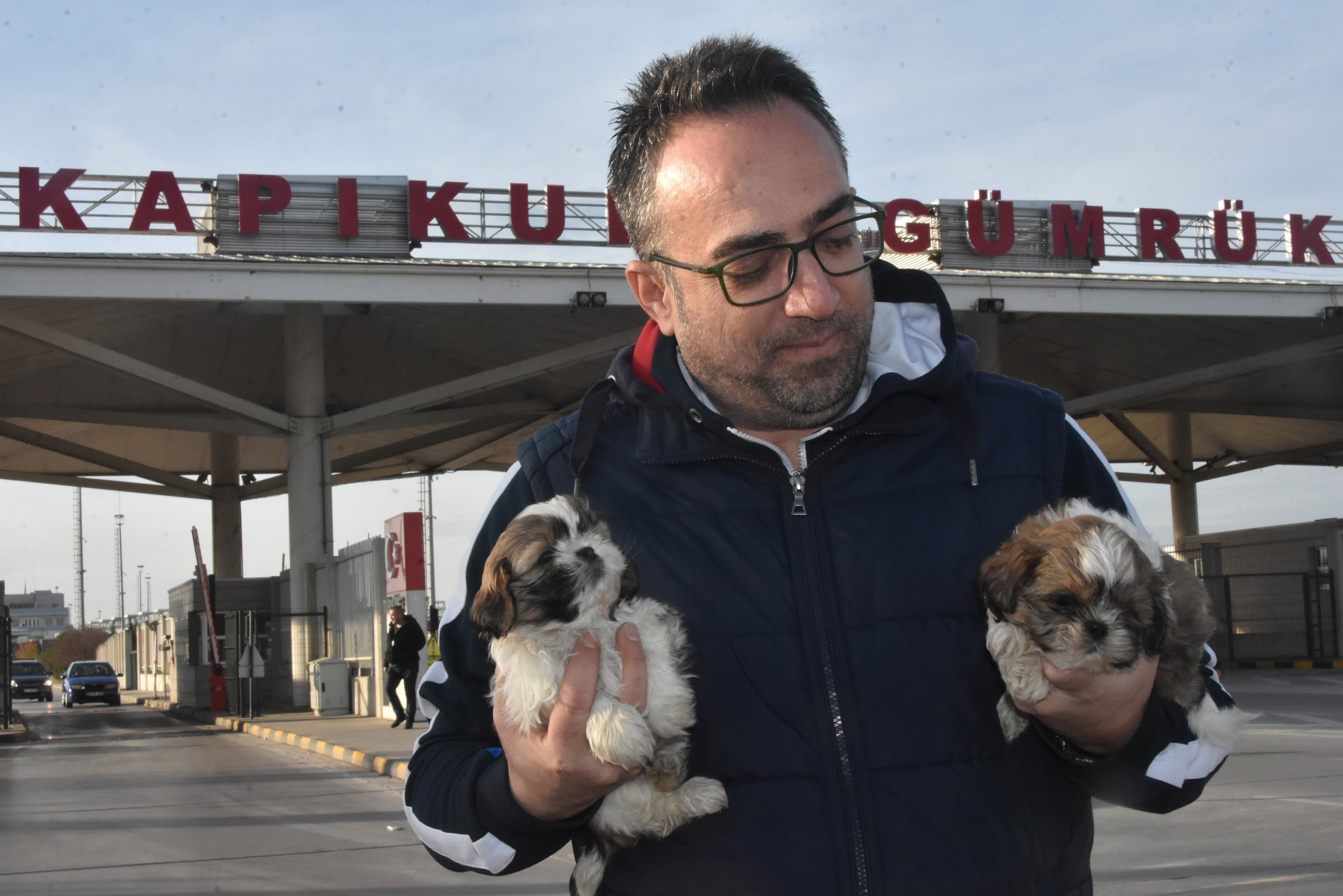 Edirne haber: Kapıkule Sınır Kapısı'nda 14 terrier cinsi köpek ele…