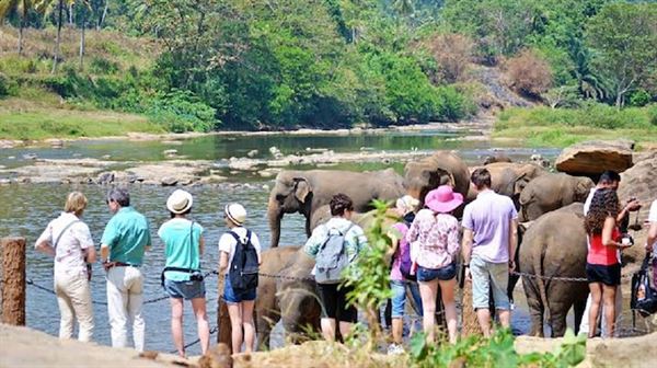 Sri Lanka's tourism still reeling since Easter attacks