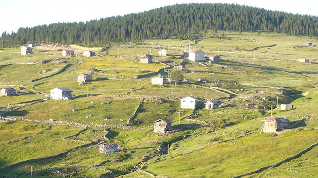 Trabzon'daki Barma Yaylası Turbalığı 'kesin korunacak hassas alan' ilan edildi